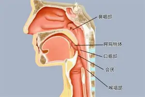 官方:Ning比分优势明显的简单介绍 官方:Ning比分优势明显的简单介绍